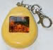 keyRing BUG detector 2